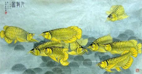 龍魚的畫怎樣畫的：龍魚畫法教程：不同的龍魚畫法教程，供您參考和學習