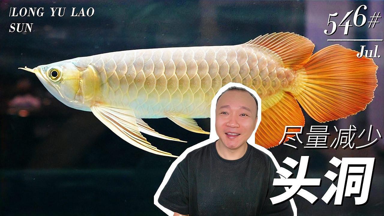 龍魚爛嘴圖片