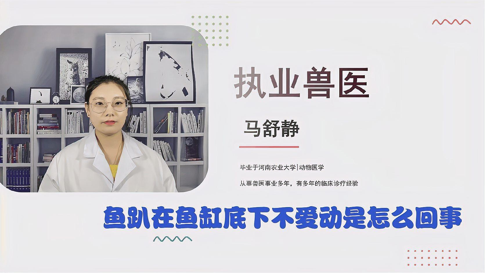 小龍魚不愛游動怎么回事兒 小龍魚不愛游動怎么回事兒 龍魚百科 第4張