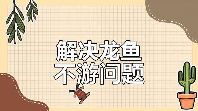 小龍魚不愛游動怎么回事兒 小龍魚不愛游動怎么回事兒 龍魚百科 第3張