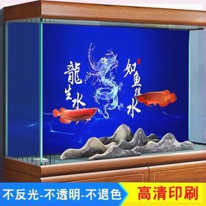 紅龍魚魚缸背景板用亞光面還是用亮光面(紅龍魚用什么背景好) 龍魚百科 第2張 紅龍魚魚缸背景板用亞光面還是用亮光面(紅龍魚用什么背景好) 紅龍魚魚缸背景板用亞光面還是用亮光面(紅龍魚用什么背景好) 龍魚百科 第2張