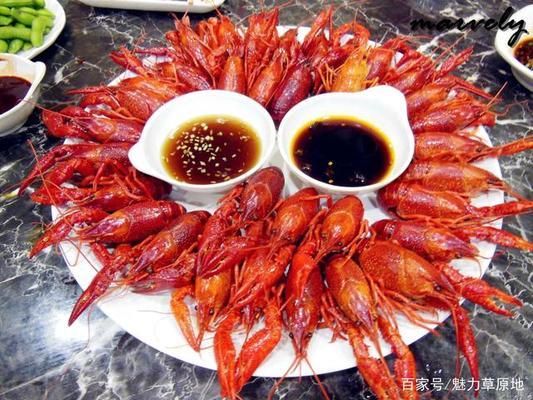 金龍魚能喂熟蝦嗎：關于金龍魚能否喂熟蝦，飼養者應謹慎評估這些風險和爭議