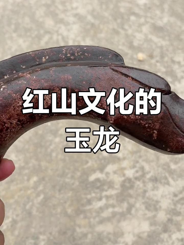 紅山玉龍有哪些收藏價(jià)值？ 紅山玉龍有哪些收藏價(jià)值？ 龍魚百科 第7張