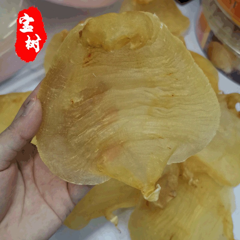 大金龍魚膠，黃花筒魚膠，大口赤嘴魚膠哪種更好：大口赤嘴魚膠哪種更好大口赤嘴魚膠哪種更好 大金龍魚膠，黃花筒魚膠，大口赤嘴魚膠哪種更好：大口赤嘴魚膠哪種更好大口赤嘴魚膠哪種更好 龍魚百科 第3張