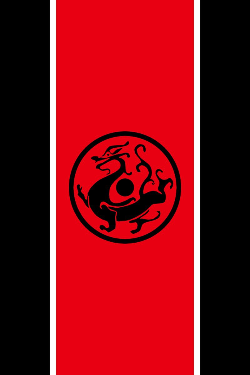 黑龍旗在哪些現(xiàn)代場合被使用？