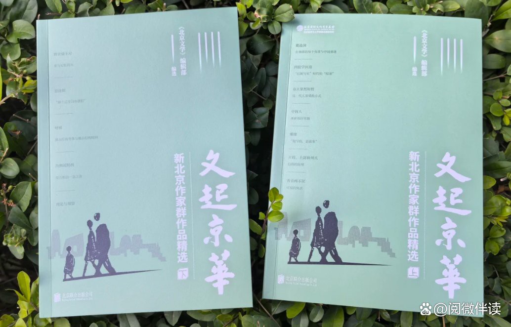 這些經(jīng)典作品中有哪些適合新手閱讀？ 這些經(jīng)典作品中有哪些適合新手閱讀？ 龍魚百科 第2張