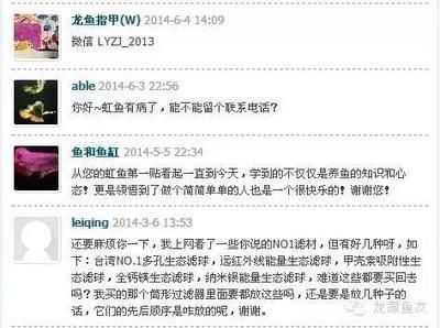 買龍魚微信交易違法嗎：買龍魚微信交易是否違法 買龍魚微信交易違法嗎：買龍魚微信交易是否違法 龍魚百科 第3張