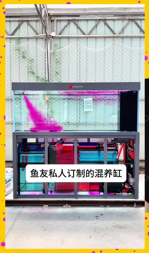 龍魚(yú)濾材是一種好還是組合好呢 龍魚(yú)濾材是一種好還是組合好呢 龍魚(yú)百科 第9張