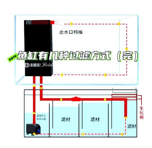 龍魚(yú)濾材是一種好還是組合好呢 龍魚(yú)濾材是一種好還是組合好呢 龍魚(yú)百科 第8張