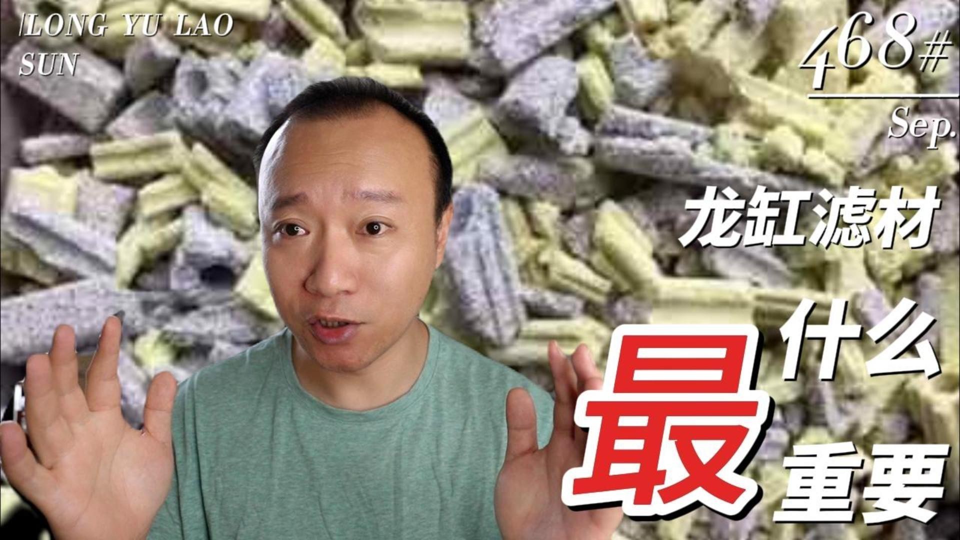龍魚(yú)濾材是一種好還是組合好呢 龍魚(yú)濾材是一種好還是組合好呢 龍魚(yú)百科 第2張