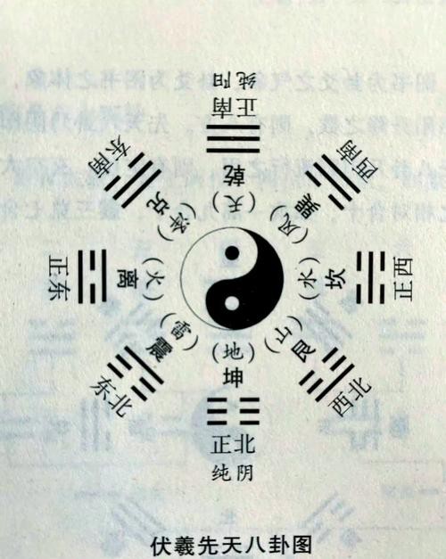 有哪些著名的龍魚風水小說推薦？