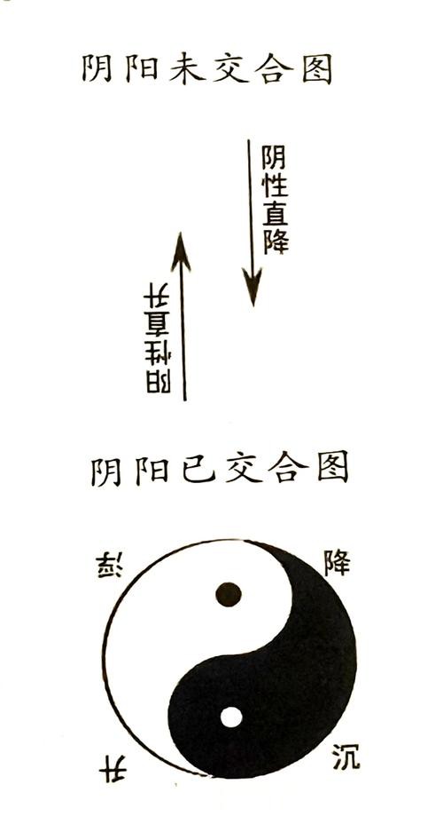有哪些著名的龍魚風水小說推薦？