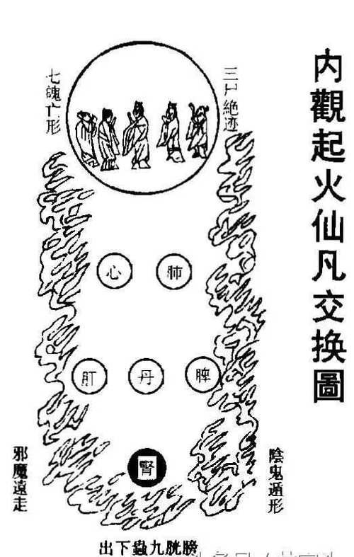 有哪些著名的龍魚風水小說推薦？