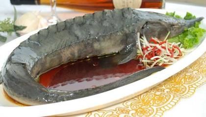 食用龍魚做法大全：清蒸龍魚的多種做法，香煎龍魚的變種做法，番茄龍魚的營養價值