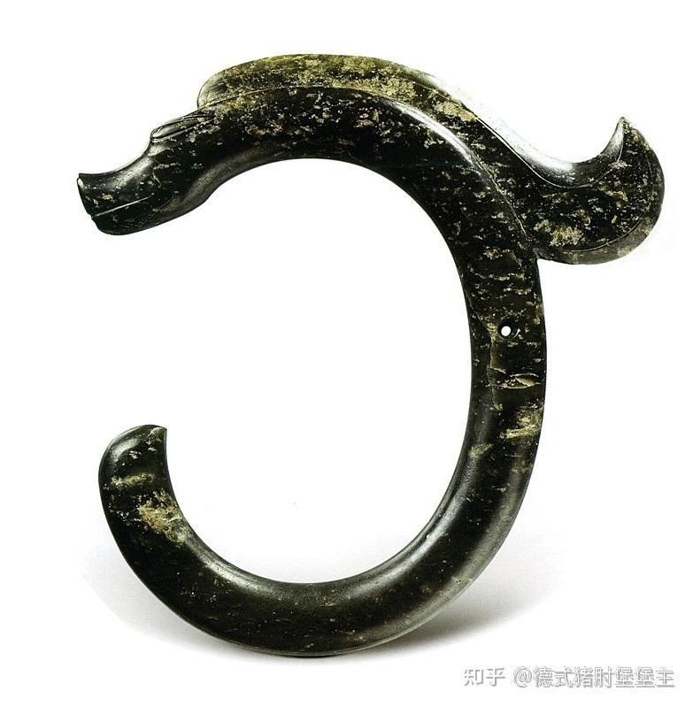 金龍七鰭的起源與歷史演變 金龍七鰭的起源與歷史演變 龍魚百科 第4張