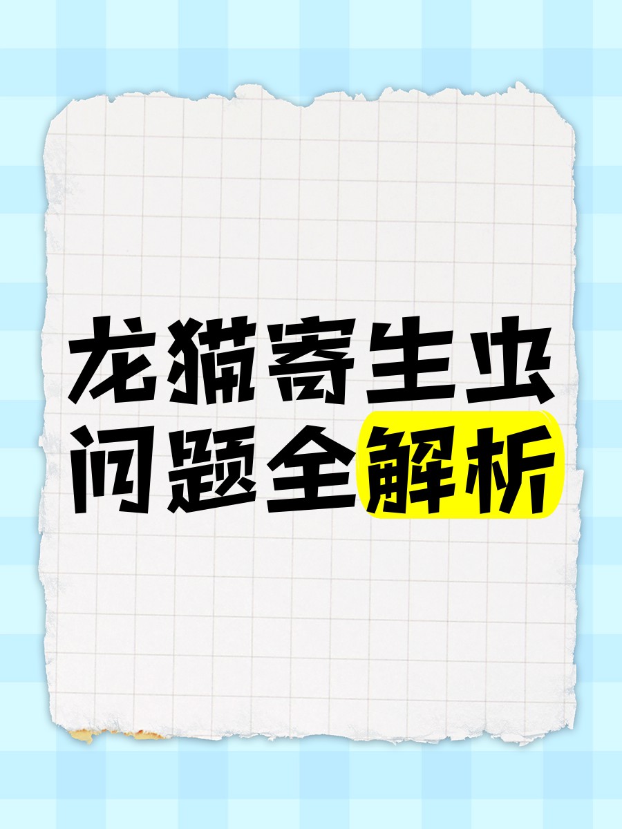 哪些因素會導致龍貓感染細菌？ 哪些因素會導致龍貓感染細菌？ 龍魚百科 第4張