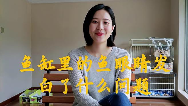 龍魚眼睛白膜如何早期發現？ 龍魚眼睛白膜如何早期發現？ 龍魚百科 第1張
