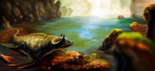 怎么把國外的龍魚運回國（如何將國外的龍魚運回國內） 怎么把國外的龍魚運回國（如何將國外的龍魚運回國內） 龍魚百科 第5張