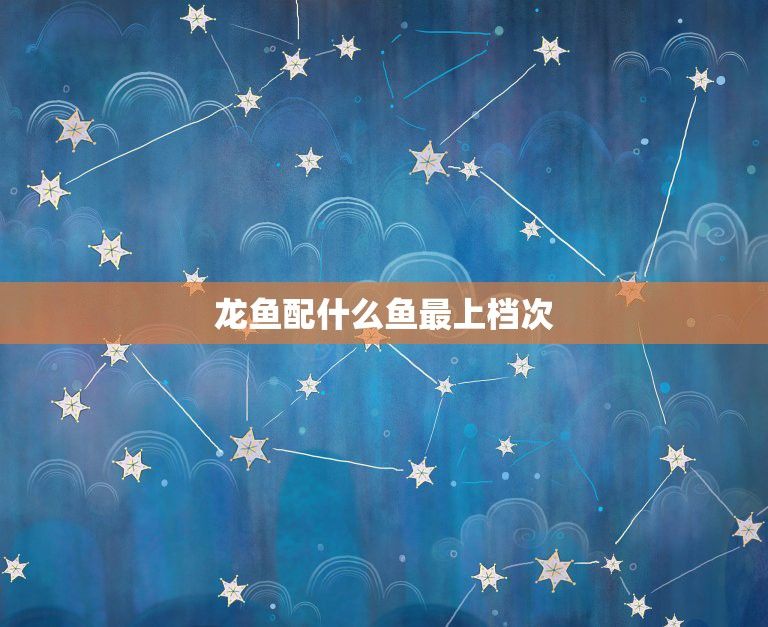 龍魚缸配什么龜（在龍魚缸中養龜，豬鼻龜和黃頭側頸龜是較好的選擇）