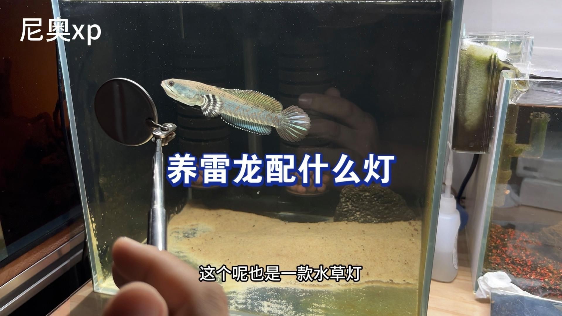 哪款雷龍專用燈好