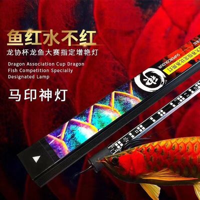 龍魚增色燈怎么用的，龍魚增色燈的使用方法