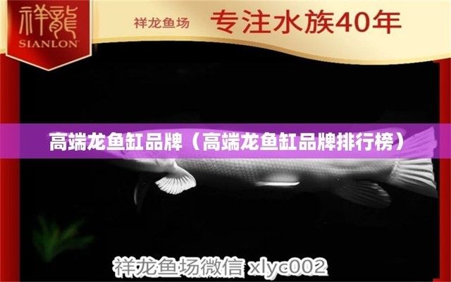 高端金龍魚魚缸品牌排名榜，高端品牌金龍魚魚缸品牌排名榜