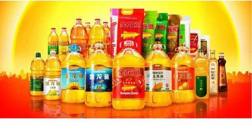 長壽好還是金龍魚好（長壽和金龍魚哪個好）