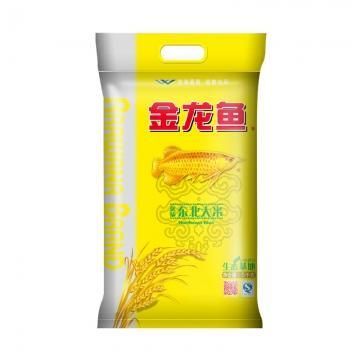東北小金龍魚是什么魚種（東北小金龍魚的五大特點(diǎn)360問(wèn)答加載更多）