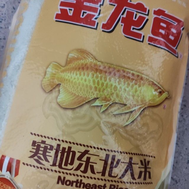 東北小金龍魚是什么魚種（東北小金龍魚的五大特點(diǎn)360問(wèn)答加載更多）
