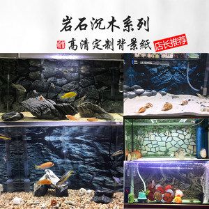 紅龍魚缸背景圖選擇哪種（關(guān)于紅龍魚缸背景圖選擇的建議）