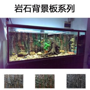 紅龍魚缸背景圖選擇哪種（關(guān)于紅龍魚缸背景圖選擇的建議）