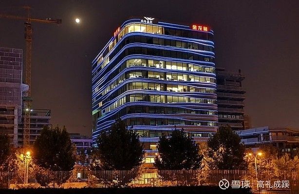 金龍魚原材料有哪些（金龍魚原材料及其品其品質控制）