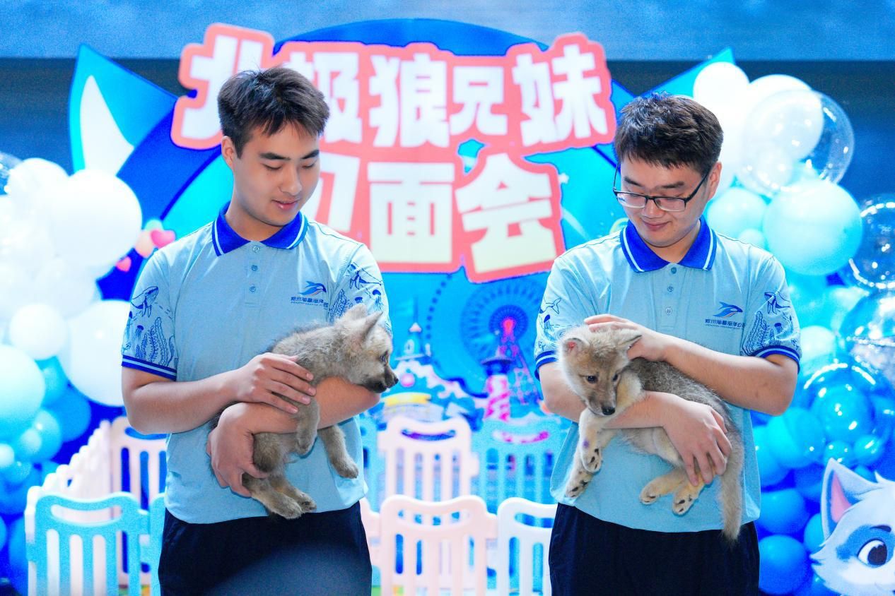 夏季龍鳳鯉防暑措施:夏季龍鳳鯉防暑措施有效提高龍鳳鯉養殖效率和產量 龍魚百科 第4張 夏季龍鳳鯉防暑措施:夏季龍鳳鯉防暑措施有效提高龍鳳鯉養殖效率和產量 夏季龍鳳鯉防暑措施:夏季龍鳳鯉防暑措施有效提高龍鳳鯉養殖效率和產量 龍魚百科 第4張