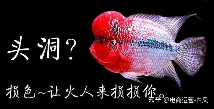 龍魚撞缸的原因有哪些圖片大全 龍魚撞缸的原因有哪些圖片大全 龍魚百科 第24張