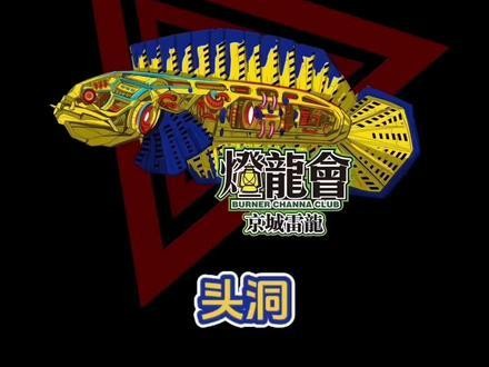 龍魚撞缸的原因有哪些圖片大全 龍魚撞缸的原因有哪些圖片大全 龍魚百科 第26張