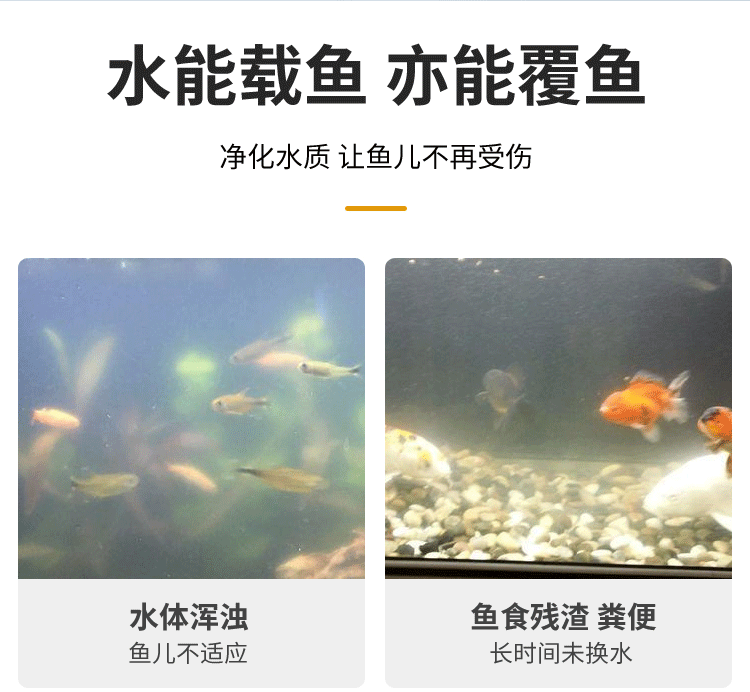 龍魚缸水質要求高嗎：龍魚缸水質對水質的影響