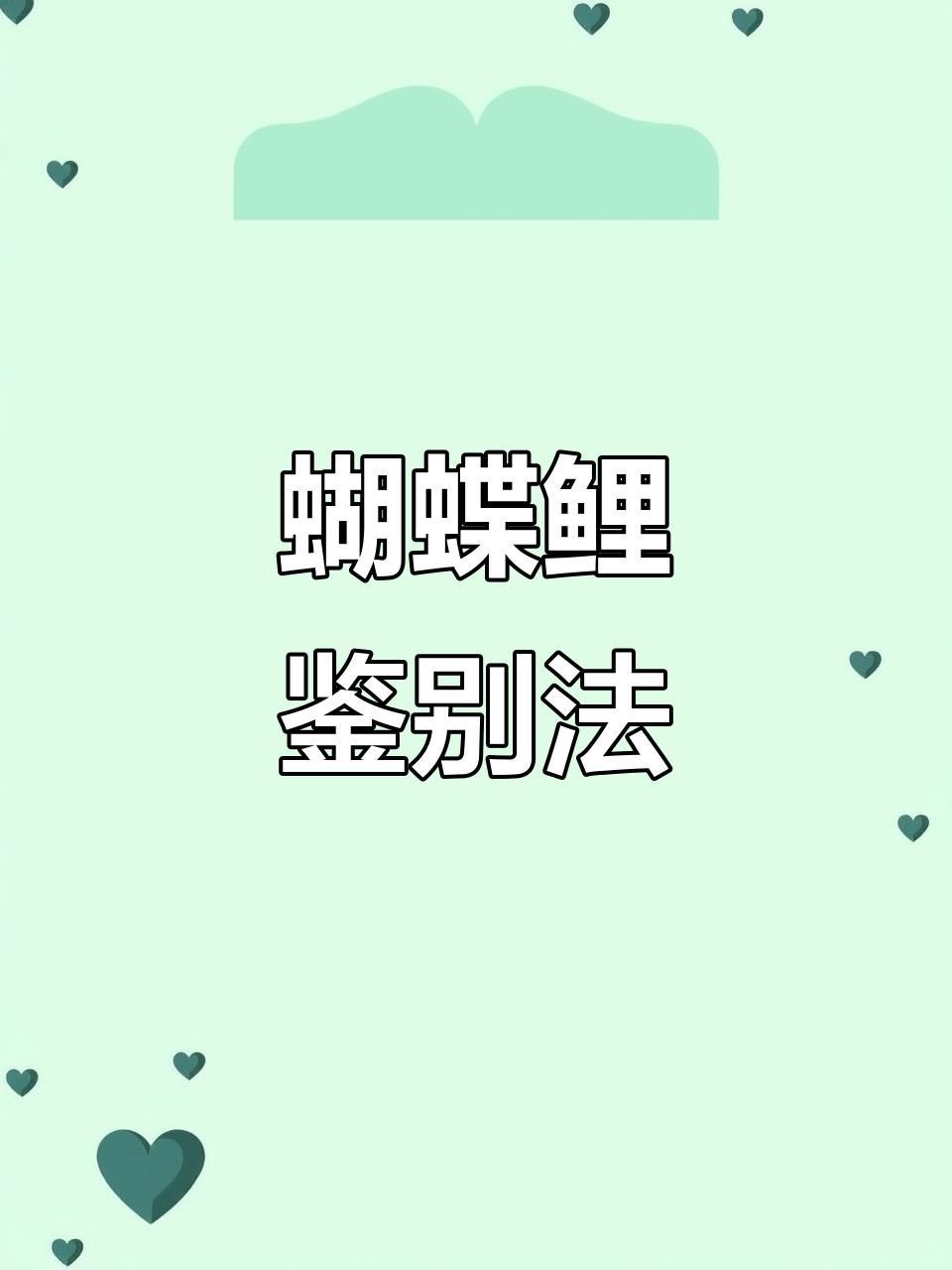 錦鯉怎么分辨公母 錦鯉怎么分辨公母 龍魚百科 第3張