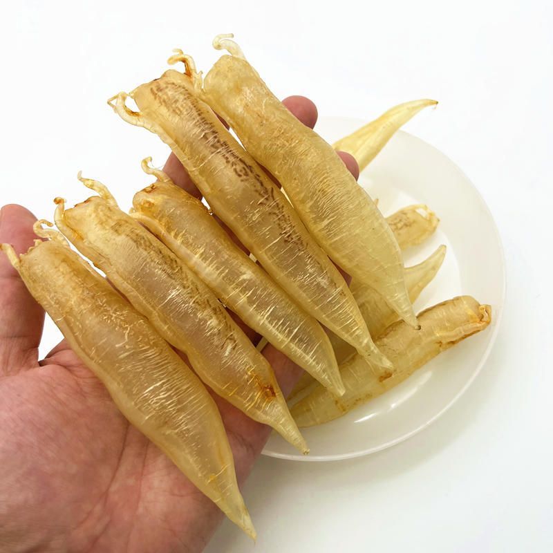 大金頭金龍魚：大金龍魚膠有什么功效？