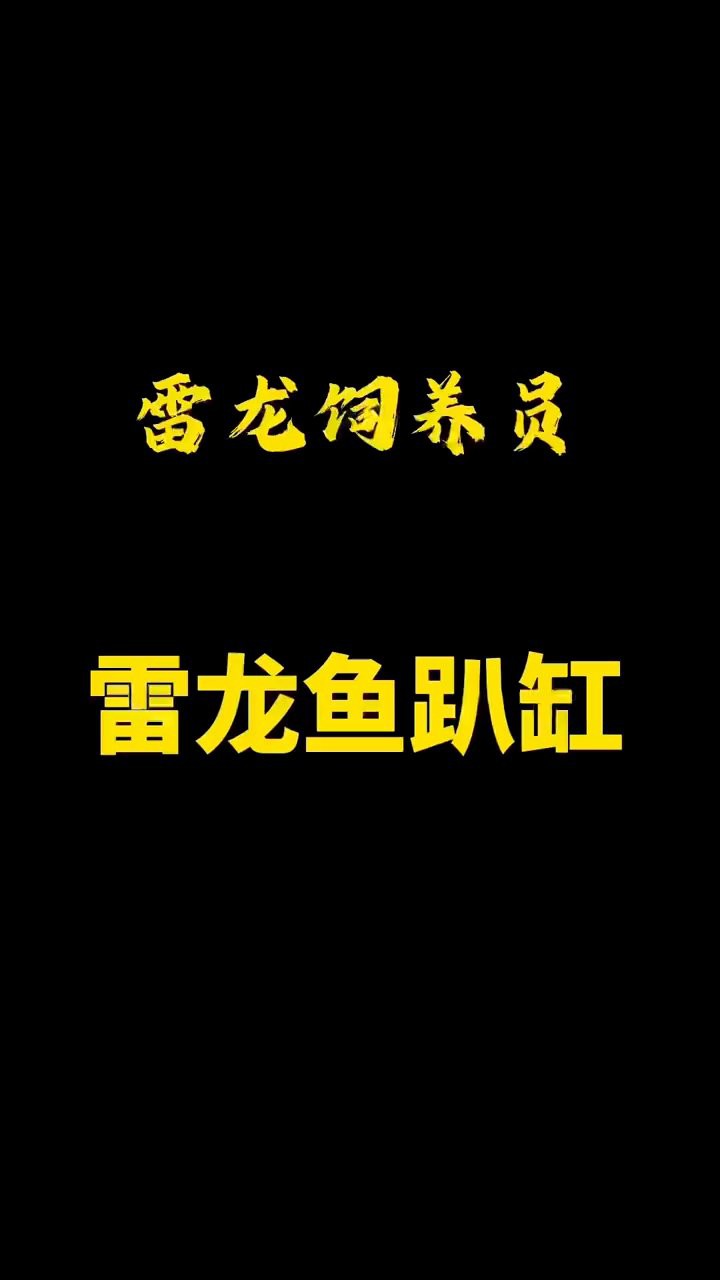 如何改善鬼王雷龍的互動性？