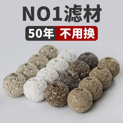 養龍魚需要哪些濾材和材料：養龍魚時選擇濾材和材料是非常重要的，它們可以幫助維持水質的穩定