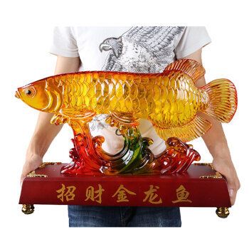 金龍魚頭部看見很老的魚：如何判斷金龍魚是否為老頭魚
