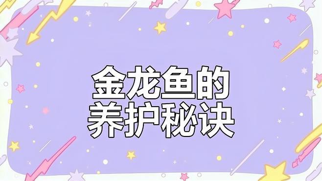 金龍魚怎么養才會金 金龍魚怎么養才會金 龍魚百科 第7張