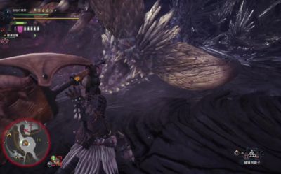 龍魚鱗變黑：龍魚鱗片發黑怎么辦