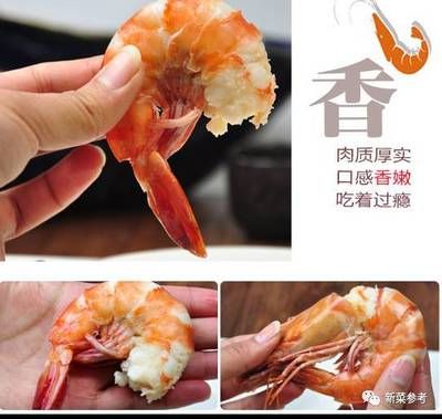 龍魚吃熟蝦怎么辦？：龍魚吃熟蝦好不好龍魚吃熟蝦好不好
