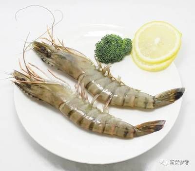 龍魚吃熟蝦怎么辦？：龍魚吃熟蝦好不好龍魚吃熟蝦好不好