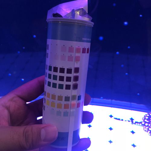 魚缸需要勤換水嗎為什么，如何判斷魚缸是否需要勤換水