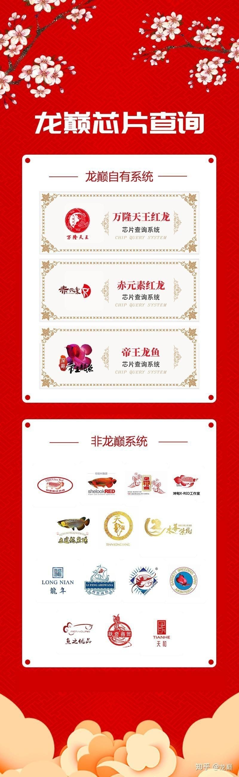 龍魚里的芯片自己能查嗎 龍魚里的芯片自己能查嗎 龍魚百科 第2張