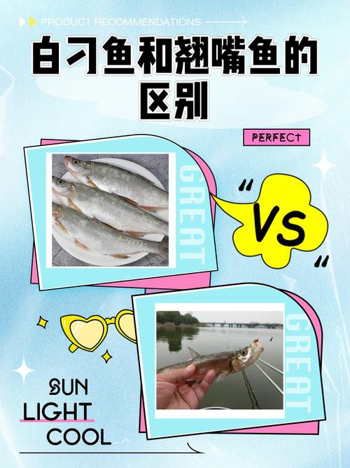 翹嘴魚和金龍魚的區別是什么圖片 翹嘴魚和金龍魚的區別是什么圖片 龍魚百科 第9張