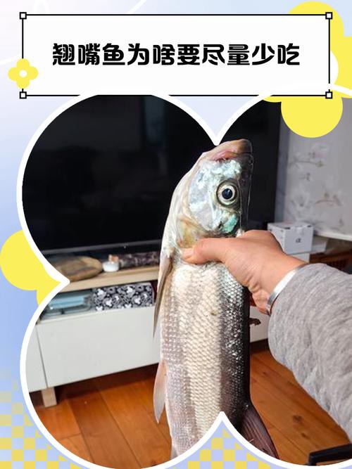 翹嘴魚和金龍魚的區別是什么圖片 翹嘴魚和金龍魚的區別是什么圖片 龍魚百科 第26張