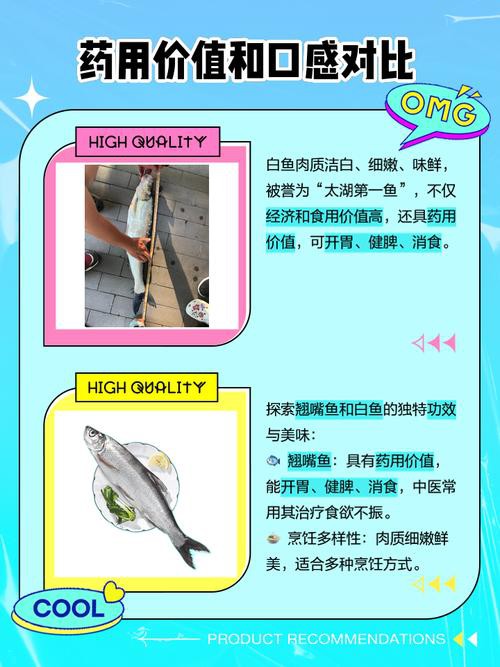翹嘴魚和金龍魚的區別是什么圖片 翹嘴魚和金龍魚的區別是什么圖片 龍魚百科 第25張